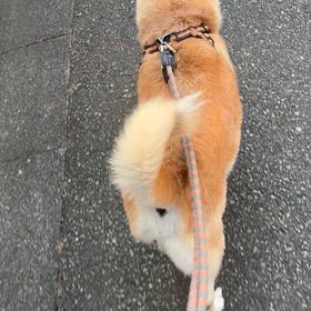イレギュラーな外出と気になる体調の画像