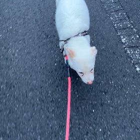 過ごしやすくなったねの画像