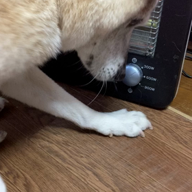 ようやくできたシャンプーの画像