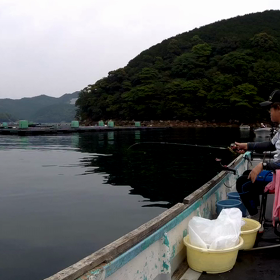 久しぶりのカセ釣りの画像