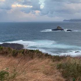 長崎ヒラマサ遠征　その③の画像