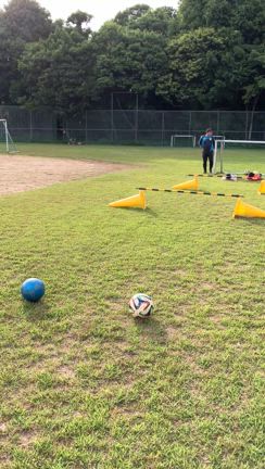 幼児・小学1〜2年生　少人数制サッカースクールでレベルアップ！の記事動画