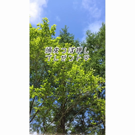 頭のツボ押しプレゼント♡の画像
