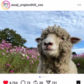 いよいよ明日！！の画像