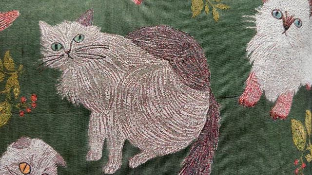 チェリーの記事動画