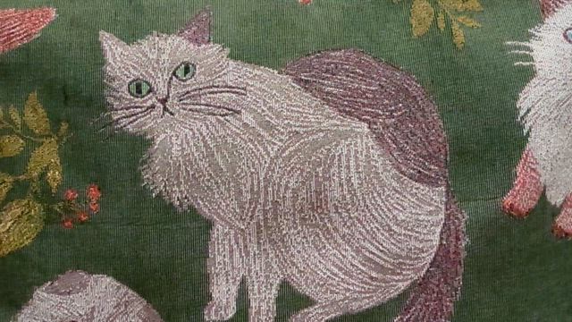 公道のスミレとベランダの桜の記事動画