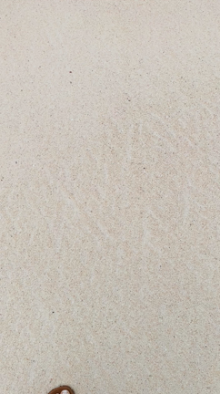 グアムでほとんど知られてない絶景プライベートビーチを発見‼︎の記事動画