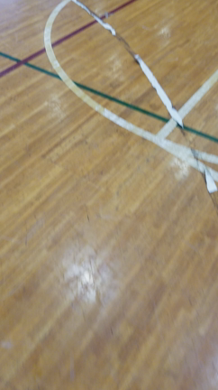【育成U12】 29日の予定の記事動画