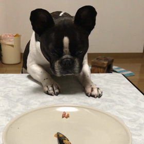 届かない…の画像