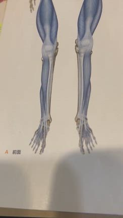 腹筋を頑張りすぎて、逆におブス顔に…の記事動画