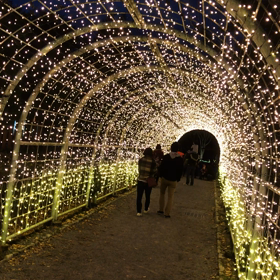京都イルミエールの画像