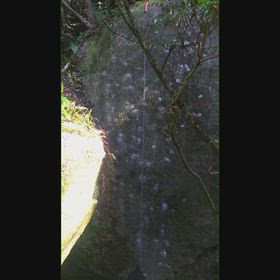 笠置寺の画像