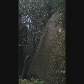 笠置寺の画像