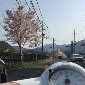 原チャリ通勤の画像
