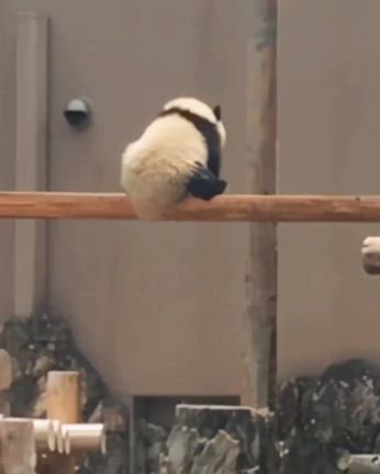 どんどんなんかくるの記事動画