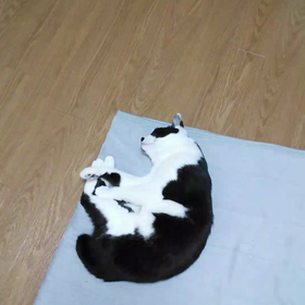 我が物顔の画像