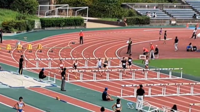 年相応って飛べない翼のことの記事動画