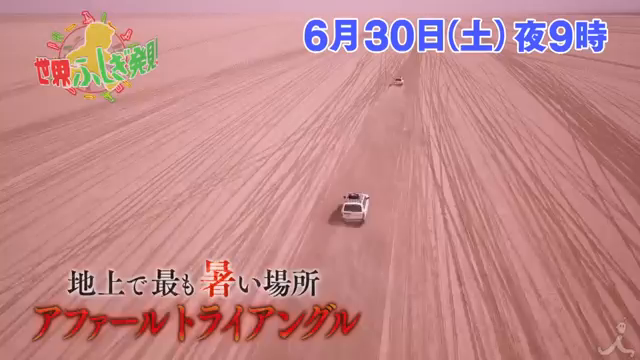 今週土曜夜9時です！の記事動画