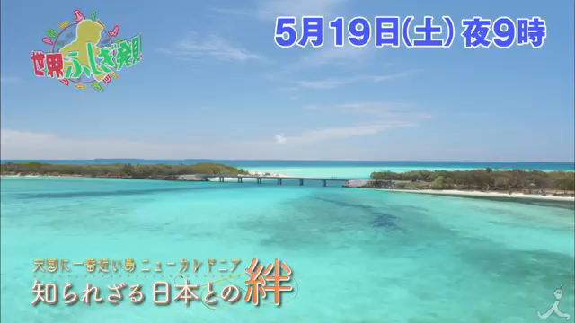 お久しぶりです‼︎の記事動画