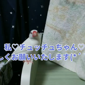 家のチュッチュちゃん♡の画像