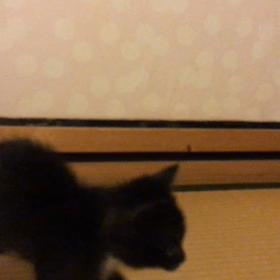 倍返しじゃ済まないの画像