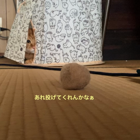 無言のお願いの画像