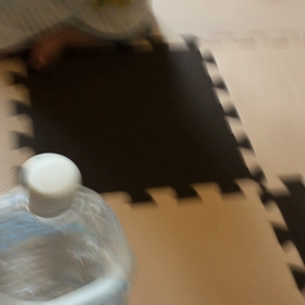 ペットボトルと時々にしおかすみこ。の画像