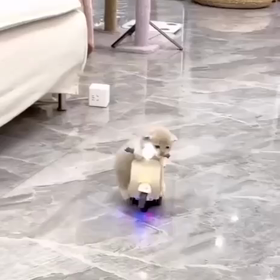 5/3: ”マークZより☆債務免除が始まっている☆イラク情報”の画像