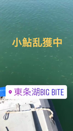 三原虫のシーズン！の記事動画
