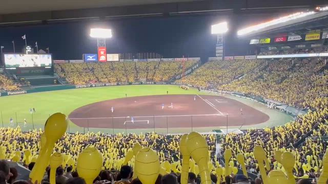 接戦の記事動画