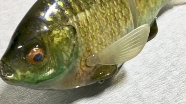 本物の魚皮ルアーって欲しくないですか？ | BASSDOG
