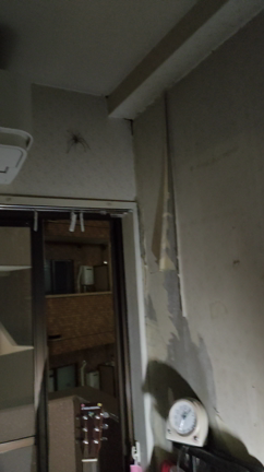 益虫さん、外に出てくれました！の記事動画