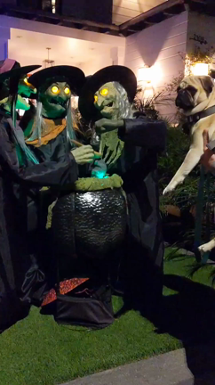 ハロウィーンデコレーションの記事動画