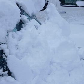 大雪の画像