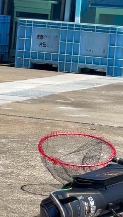 紀州スタイルグレアタック！の記事動画