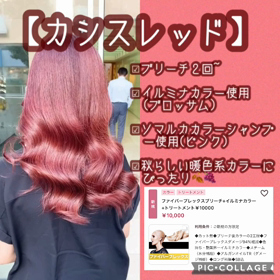 カシスレッドの画像