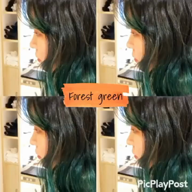 フォレストグリーン×グラデーションの画像