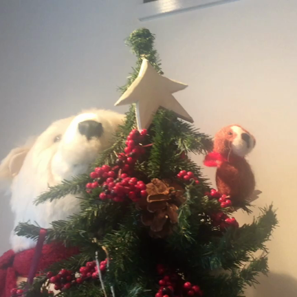 クリパの記事動画
