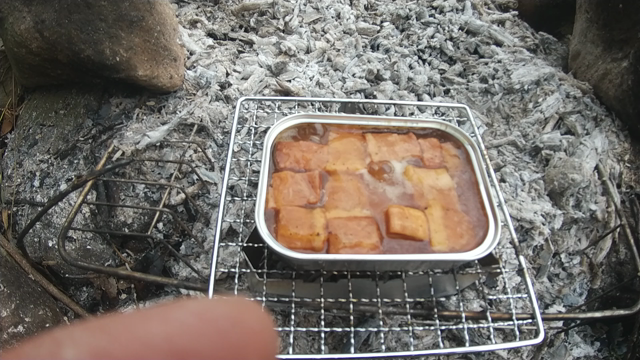 焚火のつもりが　20220122の記事動画