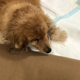 2020/04/30の画像