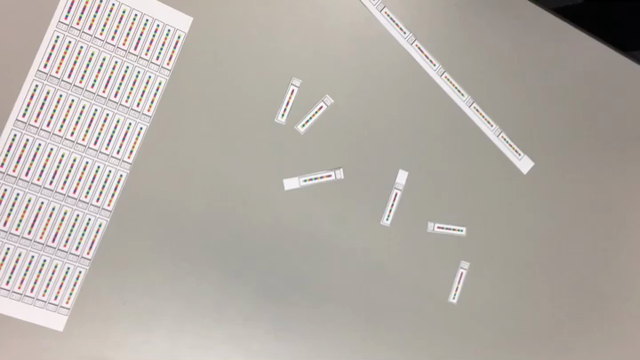 カラービット®︎ を利用した実験  マッチング②の記事動画