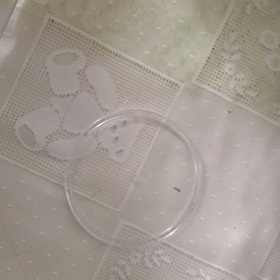 メダカの学校の画像