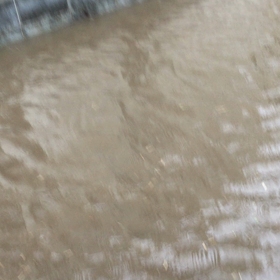 まさかの台風、冠水の画像