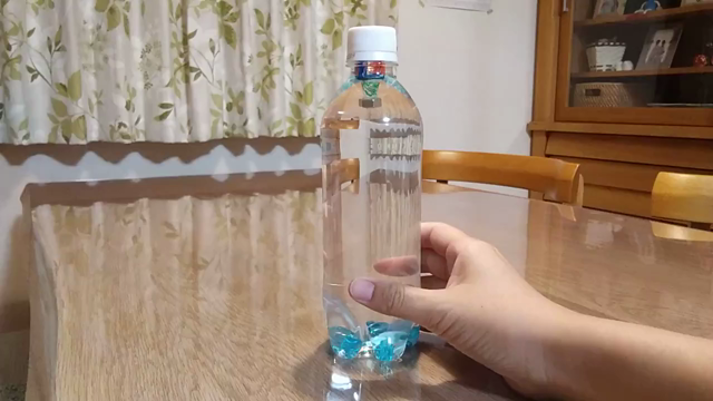 子供達の今年の自由研究の記事動画