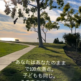 2023/11/29の画像