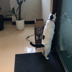 出勤ぷくの画像