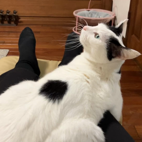 おしりとんとんの画像