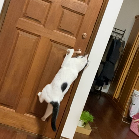 鍵がかかっているから、無理なんだよ～の画像