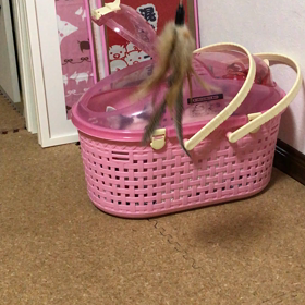ぷくなうの画像