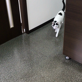 自動ドア閉まっちゃうの画像